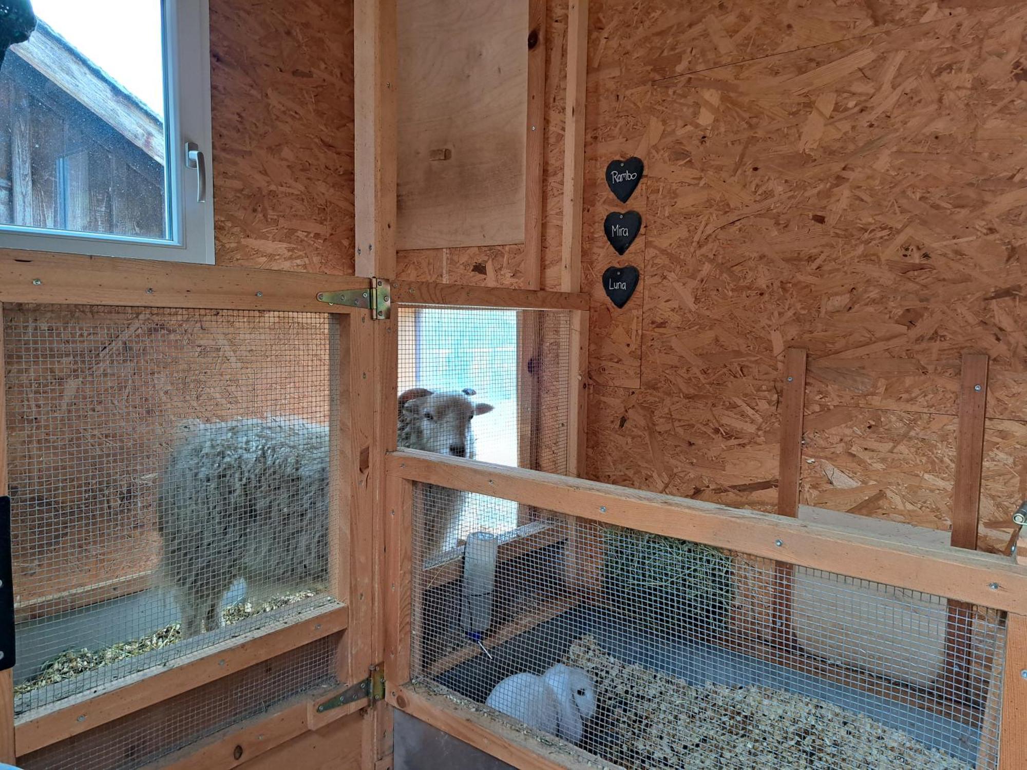 Ferien Im Gugger Appartement *