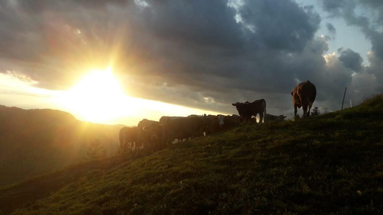 Ferien Im Gugger Nesslau
